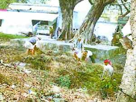 sub-inspector's pistols and 20 cartridge stolen from police station